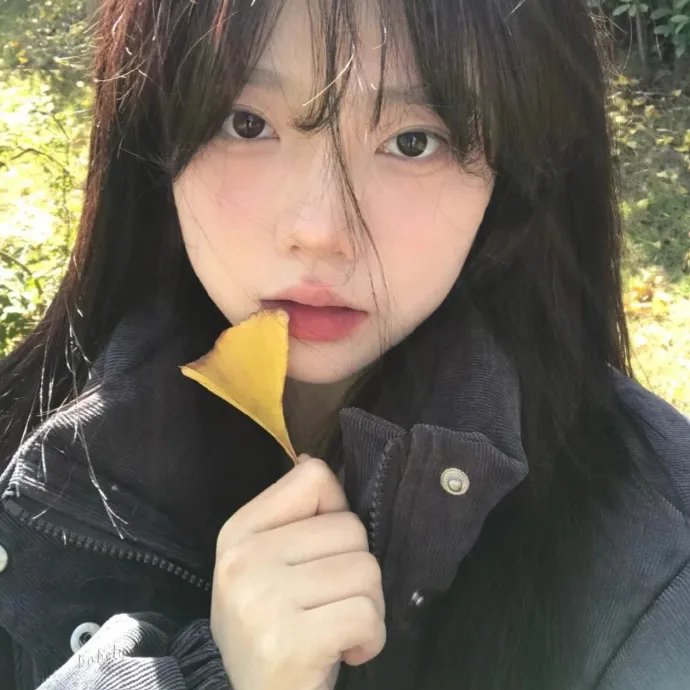 加菲猫的幸福生活第五季